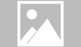 娱乐圈的瓜吃累了